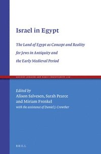 bokomslag Israel in Egypt: The Land of Egypt as Concept and Reality for Jews in Antiquity and the Early Medieval Period