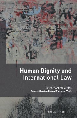 bokomslag Human Dignity and International Law