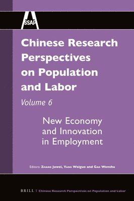 bokomslag Chinese Research Perspectives on Population and Labor, Volume 6