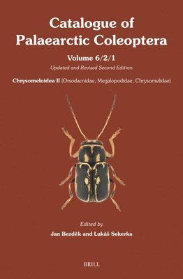 bokomslag Chrysomeloidea II (Orsodacnidae, Megalopodidae, Chrysomelidae) - Part 1