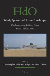 bokomslag Saintly Spheres and Islamic Landscapes