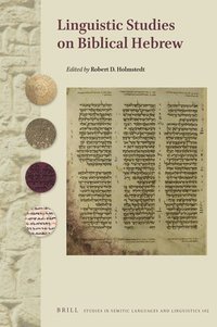 bokomslag Linguistic Studies on Biblical Hebrew