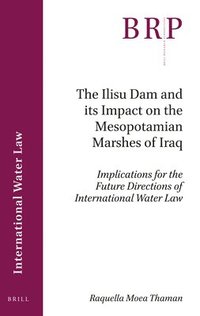 bokomslag Ilisu Dam and its Impact on the Mesopotamian Marshes of Iraq
