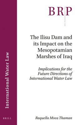 bokomslag Ilisu Dam and its Impact on the Mesopotamian Marshes of Iraq