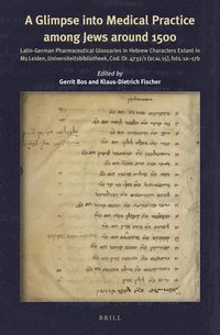 bokomslag A Glimpse into Medical Practice among Jews around 1500