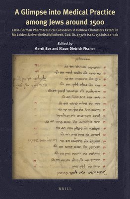 bokomslag A Glimpse into Medical Practice among Jews around 1500