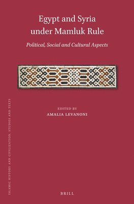 Amalia Levanoni - Egypt and Syria under Mamluk Rule, Inbunden