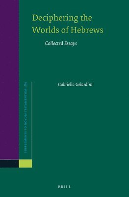 bokomslag Deciphering the Worlds of Hebrews