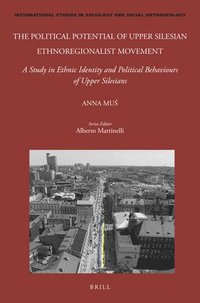bokomslag Political Potential of Upper Silesian Ethnoregionalist Movement
