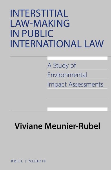 Viviane Meunier-Rubel - Interstitial Law-Making in Public International Law: A Study of Environmental Impact Assessments, Inbunden