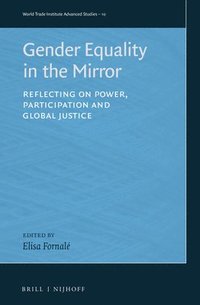 bokomslag Gender Equality in the Mirror