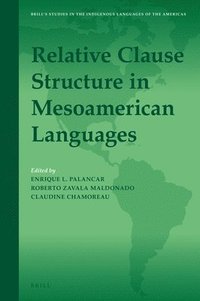 bokomslag Relative Clause Structure in Mesoamerican Languages