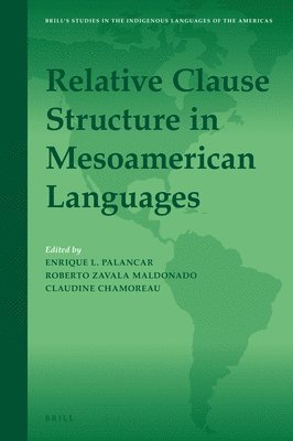 bokomslag Relative Clause Structure in Mesoamerican Languages