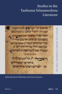 bokomslag Studies in the Tanhuma-Yelammedenu Literature