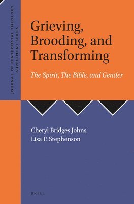 bokomslag Grieving, Brooding, and Transforming: The Spirit, The Bible, and Gender