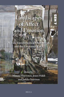 bokomslag Landscapes of Affect and Emotion