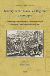 bokomslag Slavery in the Black Sea Region, C.900-1900: Forms of Unfreedom at the Intersection Between Christianity and Islam
