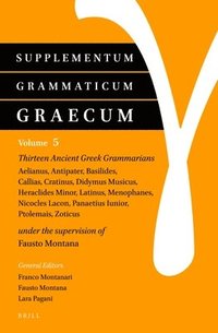 bokomslag Supplementum Grammaticum Graecum 5: Thirteen Ancient Greek Grammarians: Aelianus, Antipater, Basilides, Callias, Cratinus, Didymus Musicus, Heraclides