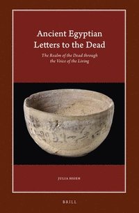 bokomslag Ancient Egyptian Letters to the Dead