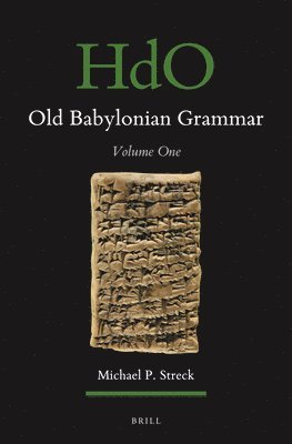 bokomslag Old Babylonian Grammar