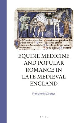 bokomslag Equine Medicine and Popular Romance in Late Medieval England