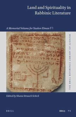 bokomslag Land and Spirituality in Rabbinic Literature