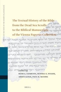 bokomslag Textual History of the Bible from the Dead Sea Scrolls to the Biblical Manuscripts of the Vienna Papyrus Collection