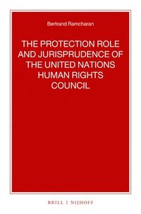 bokomslag The Protection Role and Jurisprudence of the United Nations Human Rights Council