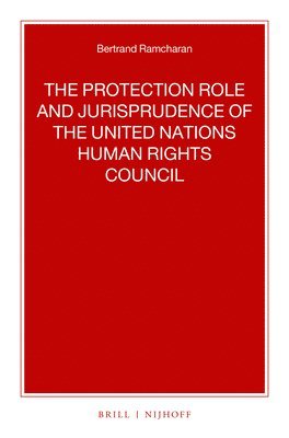 bokomslag The Protection Role and Jurisprudence of the United Nations Human Rights Council