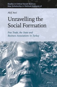 bokomslag Unravelling the Social Formation