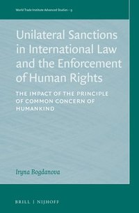 bokomslag Unilateral Sanctions in International Law and the Enforcement of Human Rights