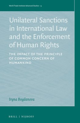 bokomslag Unilateral Sanctions in International Law and the Enforcement of Human Rights