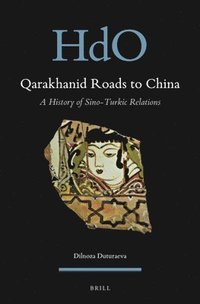 bokomslag Qarakhanid Roads to China