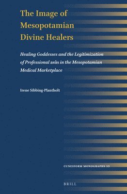 bokomslag The Image of Mesopotamian Divine Healers