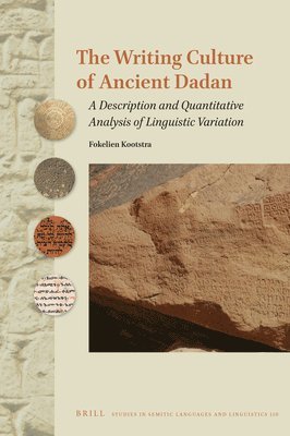 bokomslag Writing Culture of Ancient Dad?n