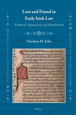 bokomslag Lost and Found in Early Irish Law