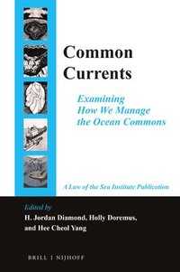 bokomslag Common Currents