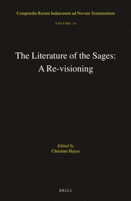 bokomslag The Literature of the Sages: A Re-Visioning