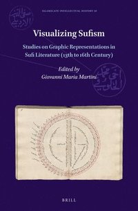 bokomslag Visualizing Sufism