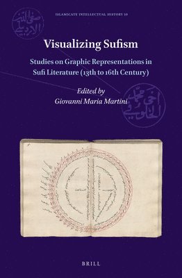 bokomslag Visualizing Sufism