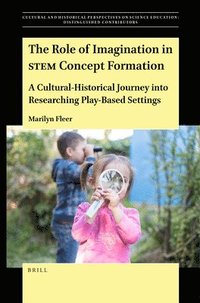 bokomslag Role of Imagination in STEM Concept Formation