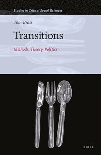 bokomslag Transitions: Methods, Theory, Politics