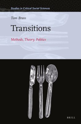 bokomslag Transitions: Methods, Theory, Politics