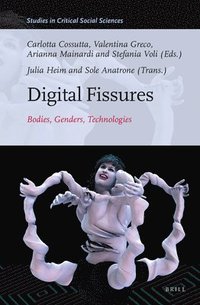 bokomslag Digital Fissures