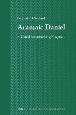 bokomslag Aramaic Daniel