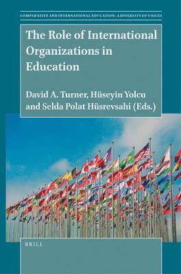 bokomslag Role of International Organizations in Education
