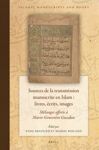 bokomslag Sources de la Transmission Manuscrite En Islam: Livres, Écrits, Images: Mélanges Offerts À Marie-Geneviève Guesdon