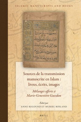bokomslag Sources de la Transmission Manuscrite En Islam: Livres, Écrits, Images: Mélanges Offerts À Marie-Geneviève Guesdon