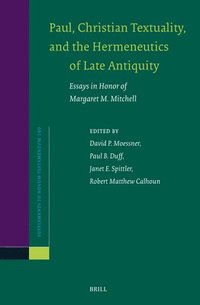 bokomslag Paul, Christian Textuality, and the Hermeneutics of Late Antiquity