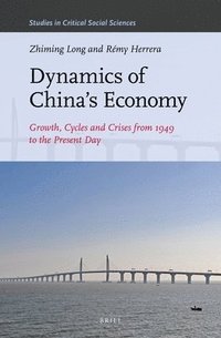 bokomslag Dynamics of China's Economy: